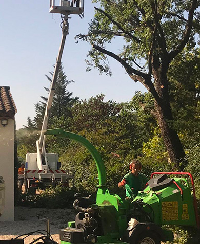 Entreprise d'élagage à Vallauris (06220) et à Vallauris (06220) dans les Alpes Maritimes (06)